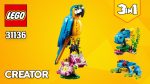 LEGO Creator 3in1 Exotic Parrot (31136)[253 pcs] Step-by-Step Building  Instructions @TopBrickBuilder - YouTube